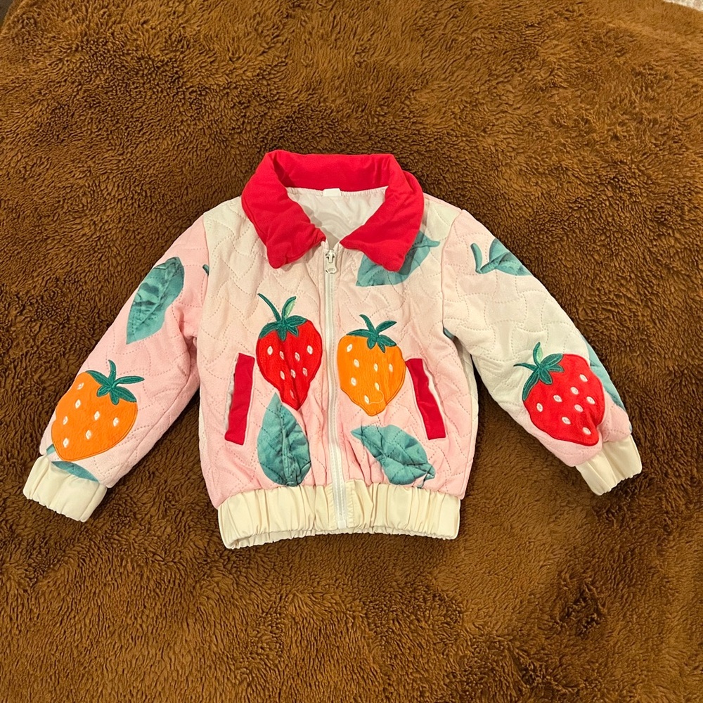 Colorful Strawberry Embroidered Jacket